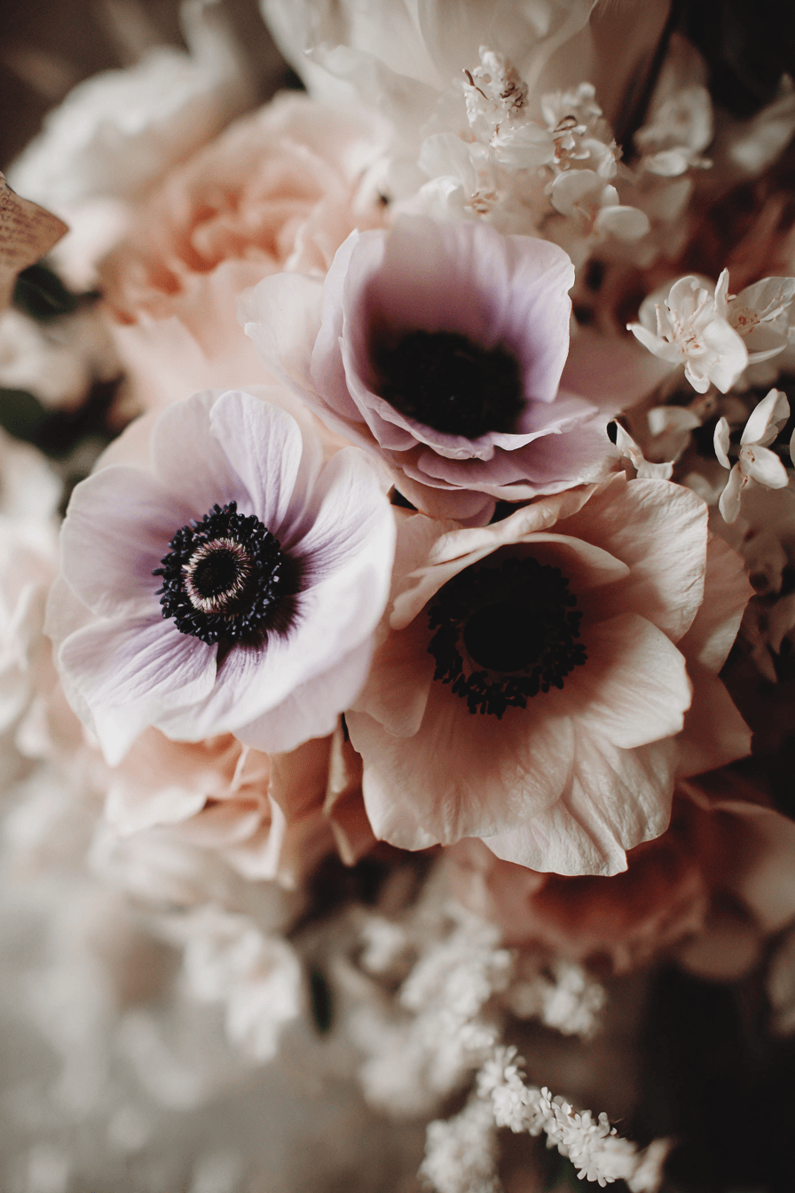 27 Pastel Wedding Flowers That Will Make Your Big Day Feel Magical